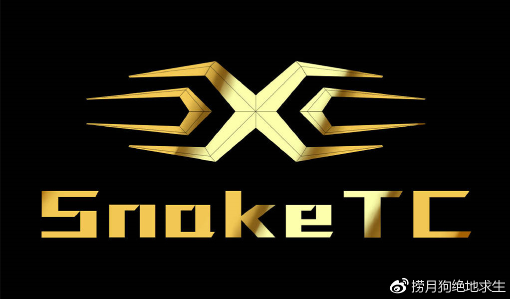 ng28娱乐-关于Karsa关键节点战术调整,TL带队取胜!的信息